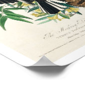 Vogel von Audubon Poster (Ecke)