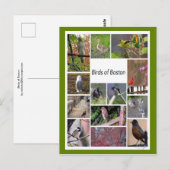 Vögel von Boston FotoCollage Postkarte (Vorne/Hinten)