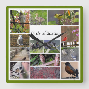 Vögel von Boston FotoCollage Quadratische Wanduhr