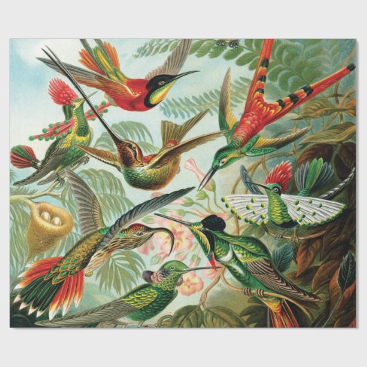 Vögel von Ernst Haeckel Geschenkpapier (Flach)