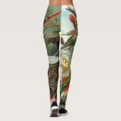 Vögel von Ernst Haeckel Leggings (Rückseite)