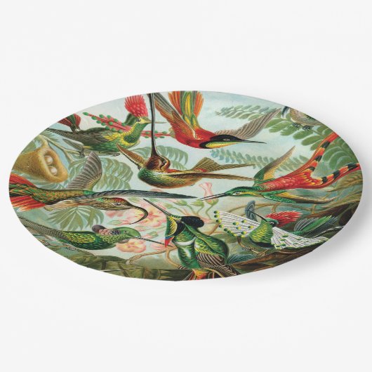 Vögel von Ernst Haeckel Pappteller (Schrägansicht)