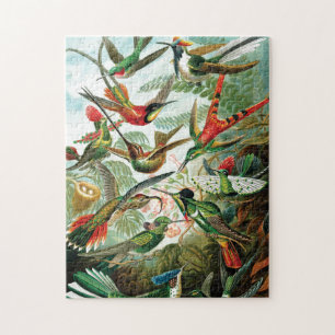 Vögel von Ernst Haeckel Puzzle