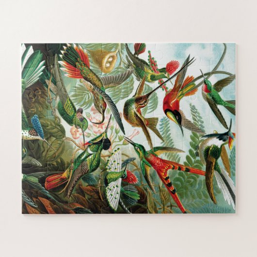 Vögel von Ernst Haeckel Puzzle (Horizontal)