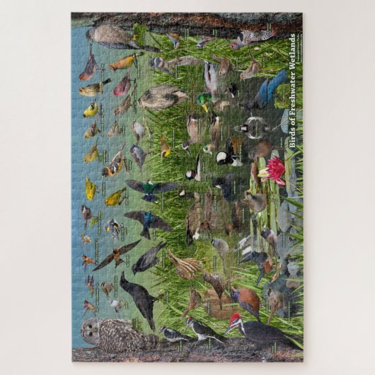 Vögel von Feuchtgebieten in Süßwasser Puzzle (Vertikal)
