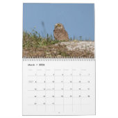 Vögel von Florida 2026 Kalender (Mär 2026)