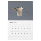 Vögel von Florida 2026 Kalender (Feb 2026)