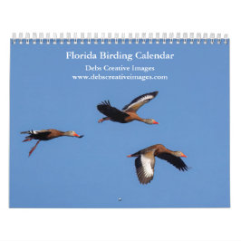 Vögel von Florida 2026 Kalender