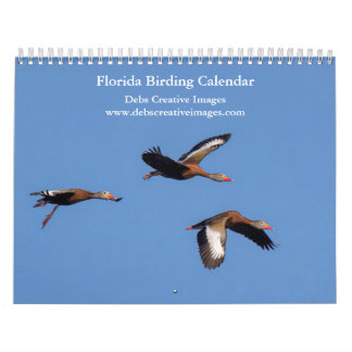 Vögel von Florida 2026 Kalender