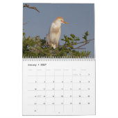 Vögel von Florida 2026 Kalender (Jan 2027)