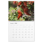 Vögel von Hawaii Kalender (Jan 2026)