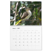 Vögel von Hawaii Kalender (Mär 2027)