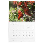 Vögel von Hawaii Kalender (Jan 2027)