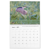 Vögel von Hawaii - Kalender 2023 (Mär 2027)