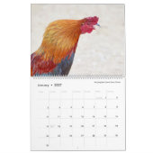 Vögel von Hawaii - Kalender 2023 (Jan 2027)
