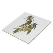 Vögel von John James Audubon Fliese (Seite)