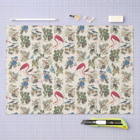 Vögel von John James Audubon Seidenpapier (Handwerk)