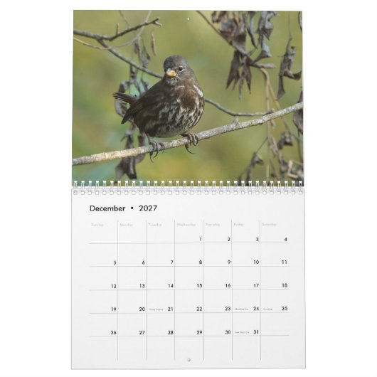Vögel von Kalender Nordamerikas 2019 (Dez 2027)