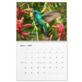 Vögel von Kolumbien Kalender (Mär 2027)