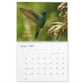 Vögel von Kolumbien Kalender (Jan 2027)