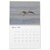 Vögel von Kuba-Kalender Kalender (Feb 2026)