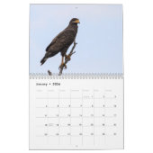 Vögel von Kuba-Kalender Kalender (Jan 2026)