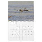 Vögel von Kuba-Kalender Kalender (Feb 2027)