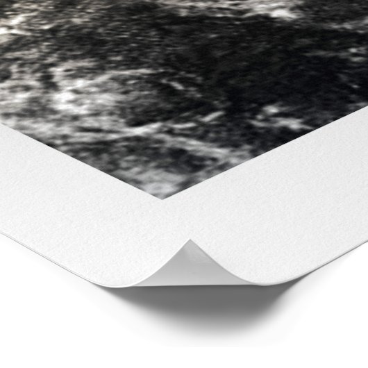 Vogel von Lascaux Poster (Ecke)