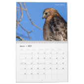 Vögel von Michigan Kalender (Mär 2027)