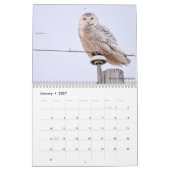 Vögel von Michigan Kalender (Jan 2027)