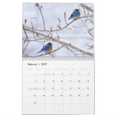Vögel von Michigan Kalender (Feb 2027)