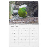 Vögel von Neuseeland Kalender (Mär 2026)
