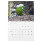 Vögel von Neuseeland Kalender (Mär 2027)
