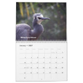 Vögel von Neuseeland Kalender (Jan 2027)