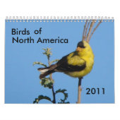 Vögel von Nordamerika 2011 Kalender (Titelbild)