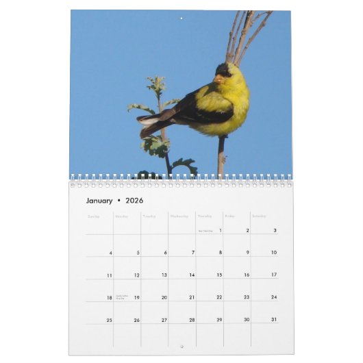 Vögel von Nordamerika 2011 Kalender (Jan 2026)