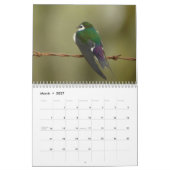 Vögel von Nordamerika 2011 Kalender (Mär 2027)