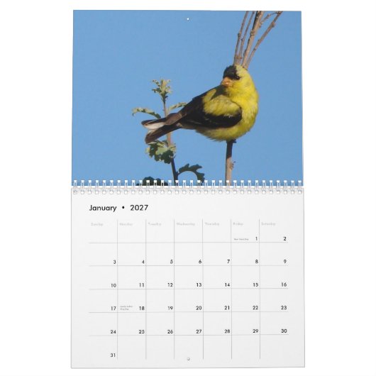 Vögel von Nordamerika 2011 Kalender (Jan 2027)
