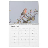 Vögel von Nordamerika 2011 Kalender (Feb 2027)