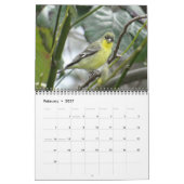 Vögel von Nordamerika - 2015 Kalender (Feb 2027)