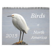 Vögel von Nordamerika - 2015 Kalender (Titelbild)
