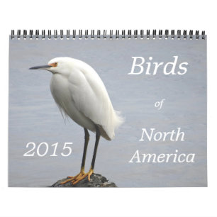 Vögel von Nordamerika - 2015 Kalender