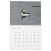 Vögel von Nordamerika Kalender (Feb 2026)