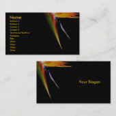 Vogel-von-Paradies Visitenkarte (Vorne/Hinten)