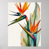 VÖGEL VON PARADISE-Plakat Poster (Vorne)