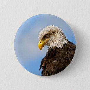 Vogel von Pray Bald Eagle Button
