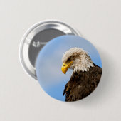 Vogel von Pray Bald Eagle Button (Vorne & Hinten)