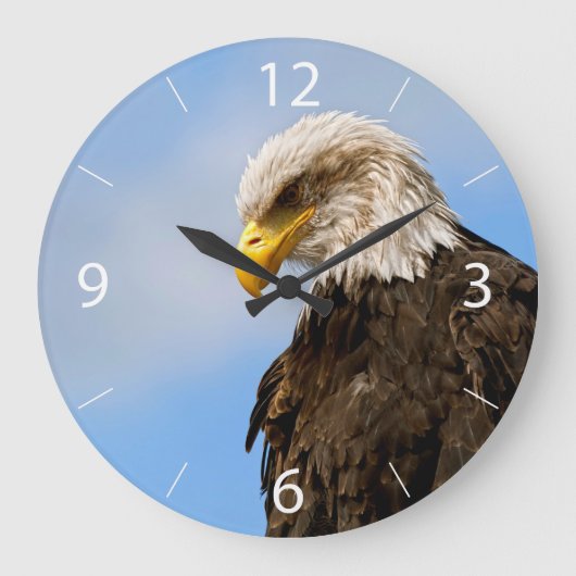 Vogel von Pray Bald Eagle Große Wanduhr (Vorderseite)
