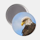 Vogel von Pray Bald Eagle Magnet (Vorderseite/Rückseite)