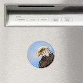 Vogel von Pray Bald Eagle Magnet (In Situ (Geschirrspüler))